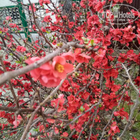 фото из отзыва ID 2583026