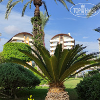 фото из отзыва ID 2583053