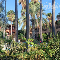 фото из отзыва ID 2583130