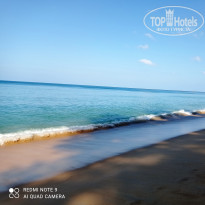 фото из отзыва ID 2583138