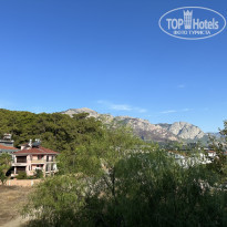 фото из отзыва ID 2583227