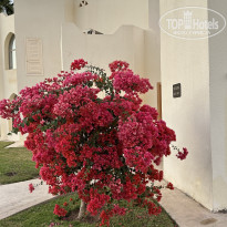 фото из отзыва ID 2583377