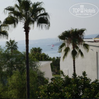 фото из отзыва ID 2583397