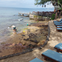 фото из отзыва ID 2583424