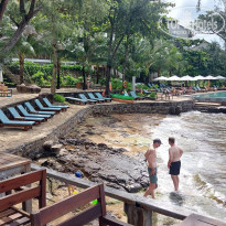 фото из отзыва ID 2583424