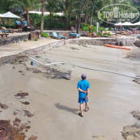 фото из отзыва ID 2583424