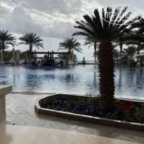 фото из отзыва ID 2583638