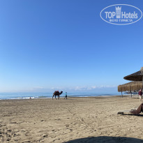 фото из отзыва ID 2583698