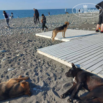 фото из отзыва ID 2583762