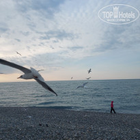 фото из отзыва ID 2583762