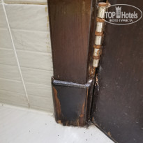 фото из отзыва ID 2581228