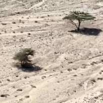 фото из отзыва ID 2583954