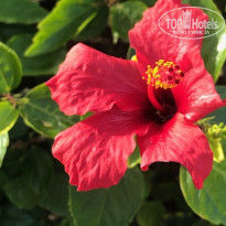 фото из отзыва ID 2584023