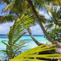 фото из отзыва ID 2584199