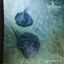 фото из отзыва ID 2584199