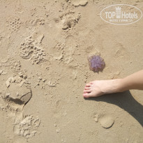 фото из отзыва ID 2584336