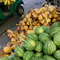 фото из отзыва ID 2584375
