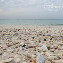 фото из отзыва ID 2584389