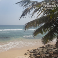 фото из отзыва ID 2584394