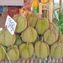 фото из отзыва ID 2584424