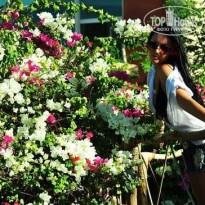 фото из отзыва ID 2584727