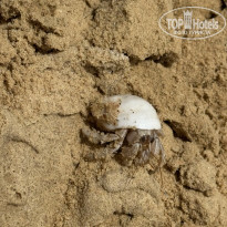 фото из отзыва ID 2584794