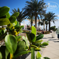 фото из отзыва ID 2584805