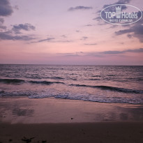 фото из отзыва ID 2584858