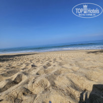 фото из отзыва ID 2584858