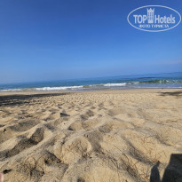 фото из отзыва ID 2584858