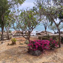 фото из отзыва ID 2584887