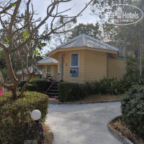 фото из отзыва ID 2584887