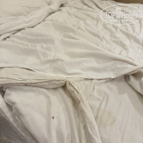 фото из отзыва ID 2584925