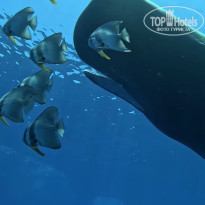 фото из отзыва ID 2584935