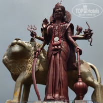 фото из отзыва ID 2584935