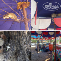 фото из отзыва ID 2585110