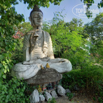 фото из отзыва ID 2585110