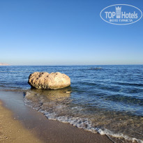 фото из отзыва ID 2585150