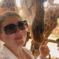 фото из отзыва ID 2585113