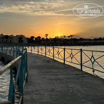 фото из отзыва ID 2585208