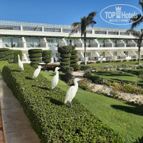 фото из отзыва ID 2585317