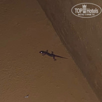 фото из отзыва ID 2585368