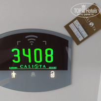 фото из отзыва ID 2585447