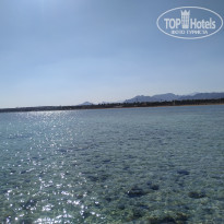 фото из отзыва ID 2585495