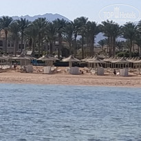 фото из отзыва ID 2585495