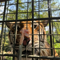 фото из отзыва ID 2585523