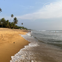 фото из отзыва ID 2585590