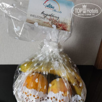 фото из отзыва ID 2585615