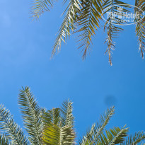 фото из отзыва ID 2585628