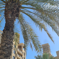 фото из отзыва ID 2585628